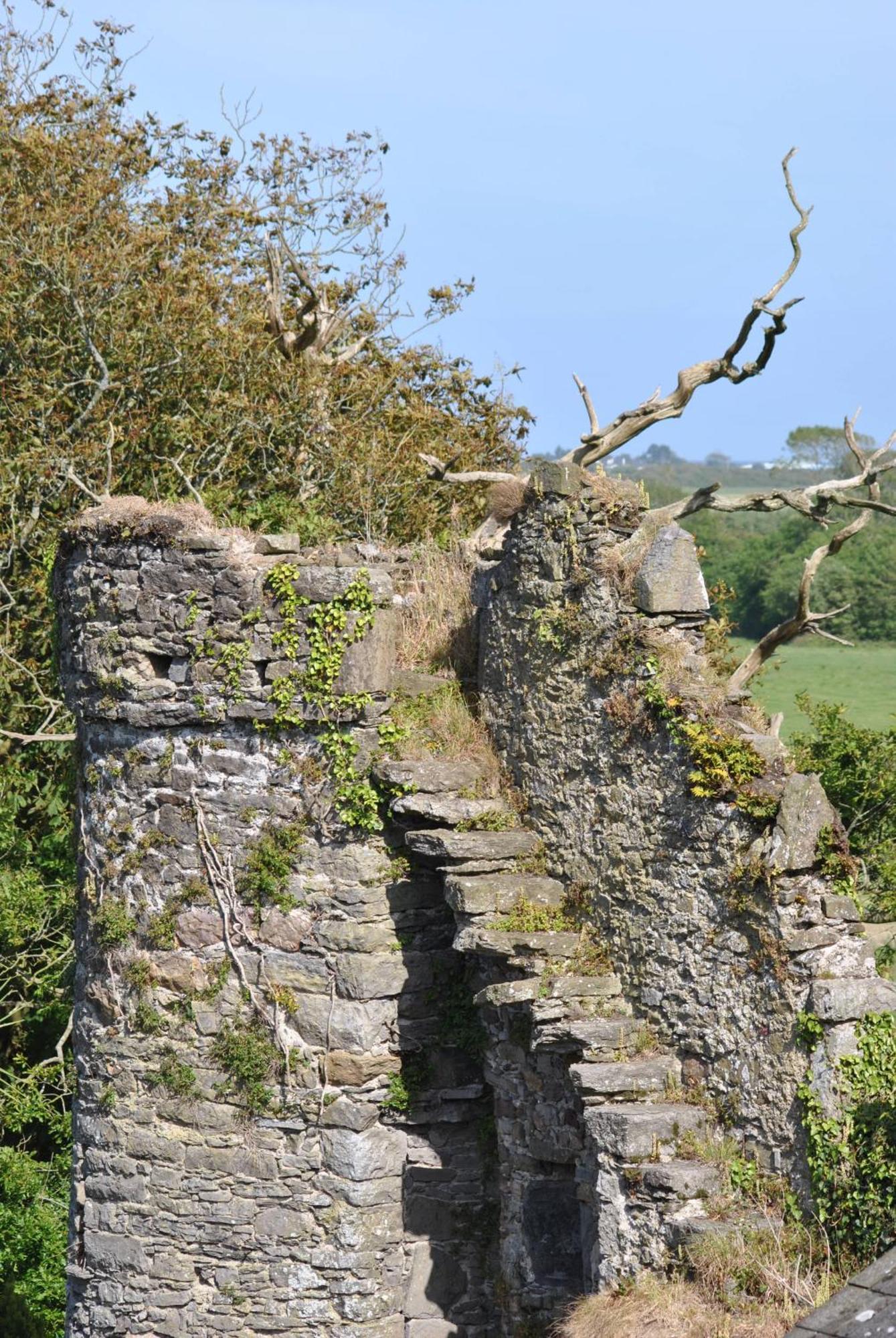 Killiane Castle Country House & Farm Drinagh Exterior foto